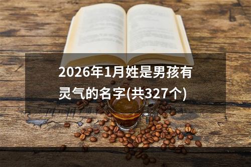 2026年1月姓是男孩有灵气的名字(共327个)