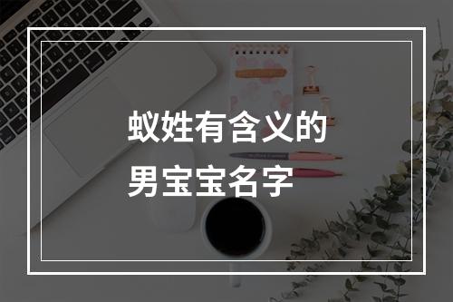 蚁姓有含义的男宝宝名字
