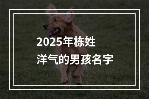 2025年栋姓洋气的男孩名字