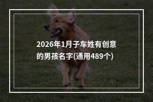 2026年1月子车姓有创意的男孩名字(通用489个)