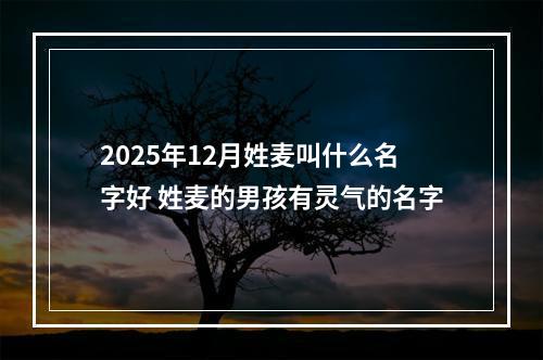 2025年12月姓麦叫什么名字好 姓麦的男孩有灵气的名字