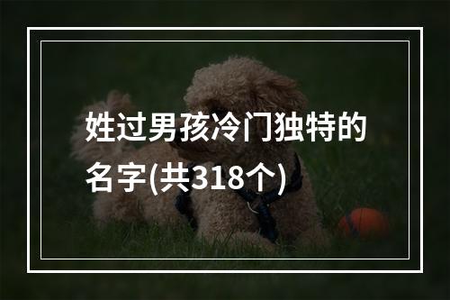 姓过男孩冷门独特的名字(共318个)