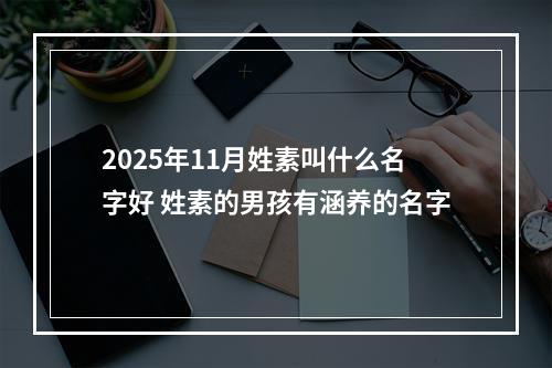 2025年11月姓素叫什么名字好 姓素的男孩有涵养的名字