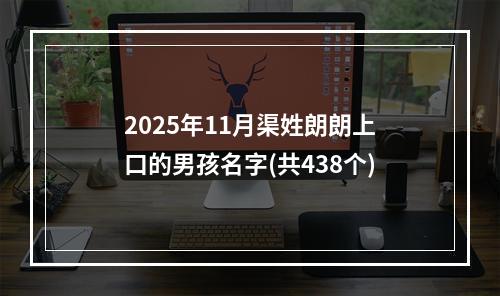 2025年11月渠姓朗朗上口的男孩名字(共438个)