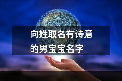 向姓取名有诗意的男宝宝名字