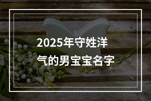 2025年守姓洋气的男宝宝名字