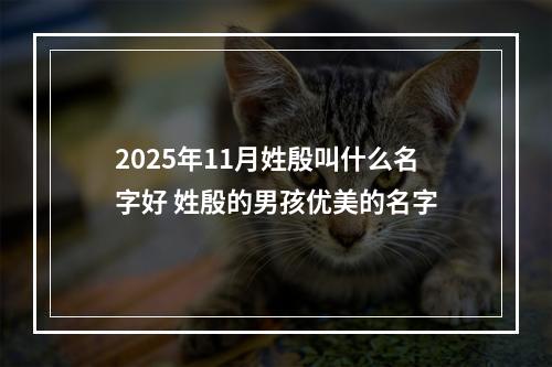 2025年11月姓殷叫什么名字好 姓殷的男孩优美的名字