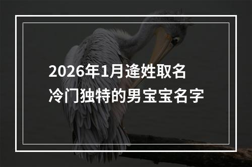 2026年1月逄姓取名冷门独特的男宝宝名字