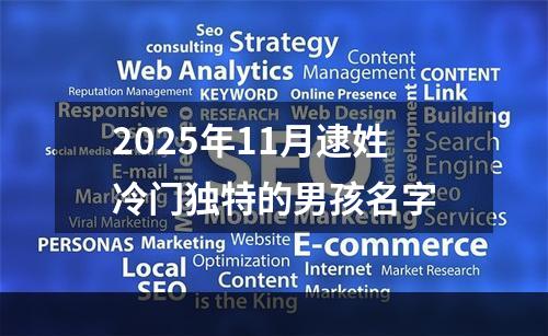 2025年11月逮姓冷门独特的男孩名字