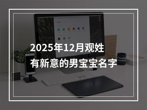 2025年12月观姓有新意的男宝宝名字