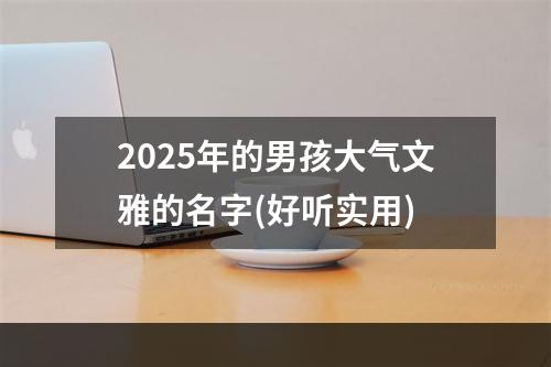 2025年的男孩大气文雅的名字(好听实用)