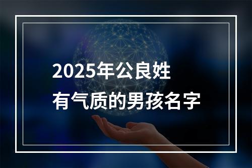 2025年公良姓有气质的男孩名字