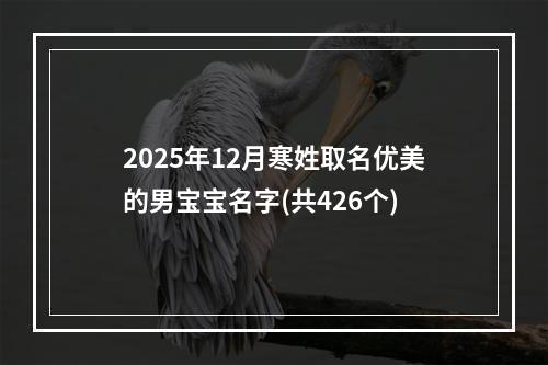 2025年12月寒姓取名优美的男宝宝名字(共426个)