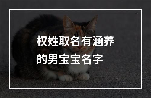 权姓取名有涵养的男宝宝名字