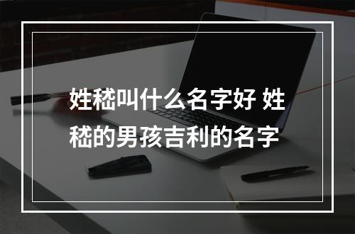 姓嵇叫什么名字好 姓嵇的男孩吉利的名字