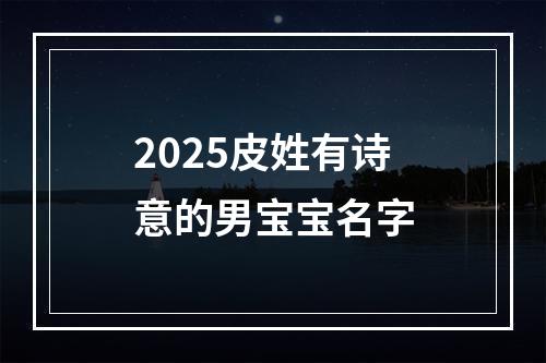 2025皮姓有诗意的男宝宝名字