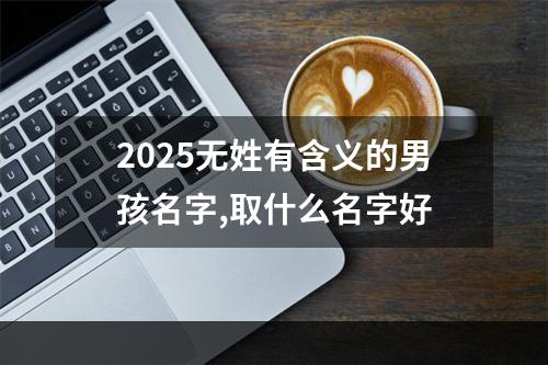 2025无姓有含义的男孩名字,取什么名字好