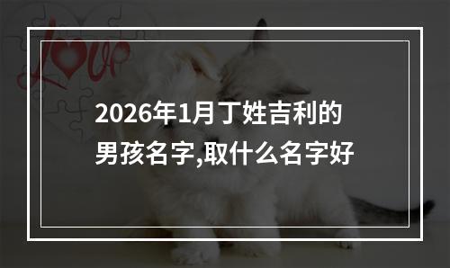 2026年1月丁姓吉利的男孩名字,取什么名字好
