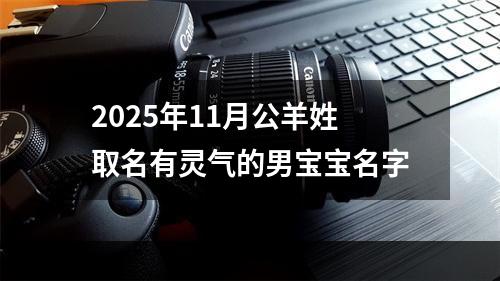 2025年11月公羊姓取名有灵气的男宝宝名字