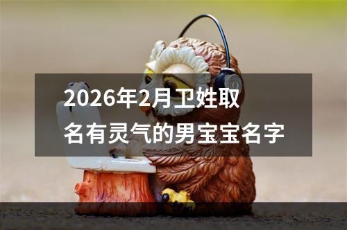 2026年2月卫姓取名有灵气的男宝宝名字