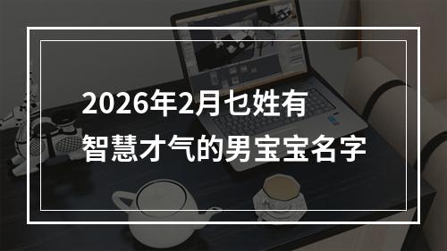 2026年2月乜姓有智慧才气的男宝宝名字