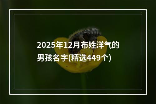 2025年12月布姓洋气的男孩名字(精选449个)