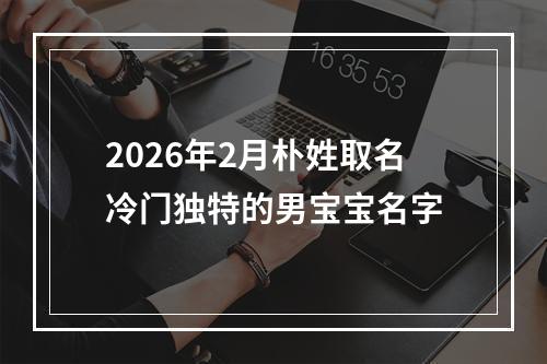 2026年2月朴姓取名冷门独特的男宝宝名字