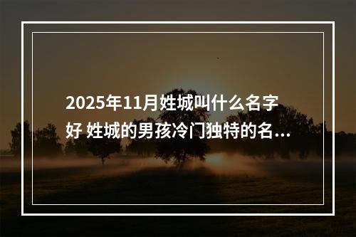 2025年11月姓城叫什么名字好 姓城的男孩冷门独特的名字