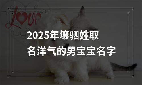 2025年壤驷姓取名洋气的男宝宝名字