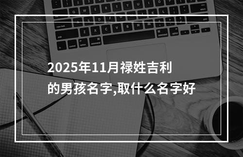 2025年11月禄姓吉利的男孩名字,取什么名字好