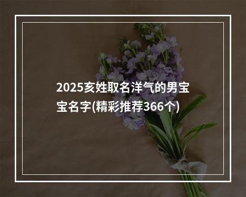 2025亥姓取名洋气的男宝宝名字(精彩推荐366个)