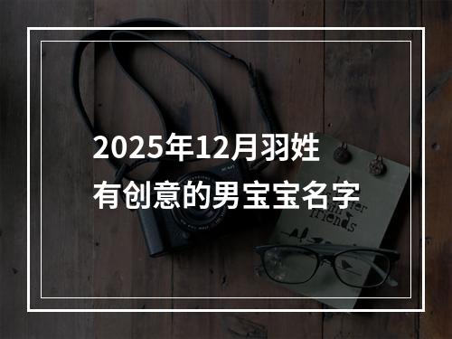 2025年12月羽姓有创意的男宝宝名字