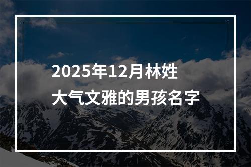 2025年12月林姓大气文雅的男孩名字