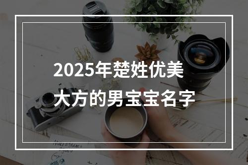 2025年楚姓优美大方的男宝宝名字