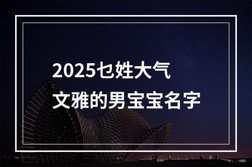 2025乜姓大气文雅的男宝宝名字