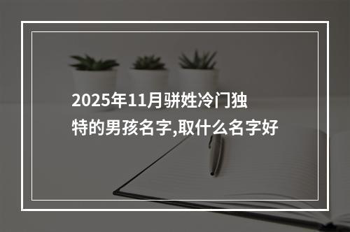 2025年11月骈姓冷门独特的男孩名字,取什么名字好