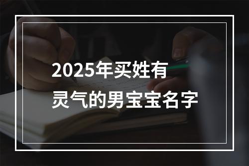 2025年买姓有灵气的男宝宝名字