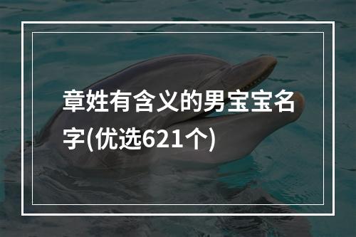 章姓有含义的男宝宝名字(优选621个)