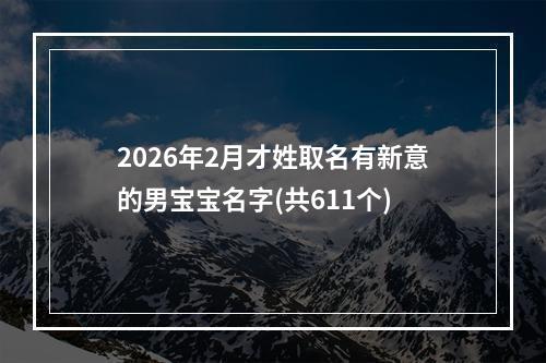 2026年2月才姓取名有新意的男宝宝名字(共611个)