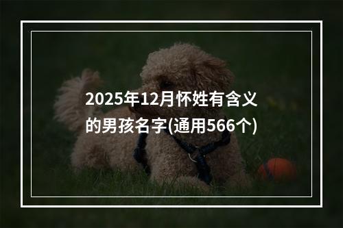 2025年12月怀姓有含义的男孩名字(通用566个)