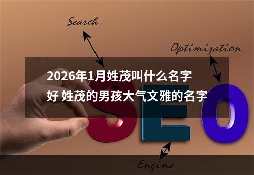 2026年1月姓茂叫什么名字好 姓茂的男孩大气文雅的名字