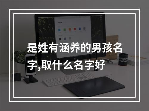 是姓有涵养的男孩名字,取什么名字好