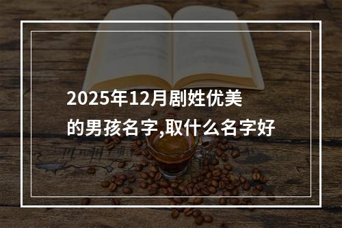 2025年12月剧姓优美的男孩名字,取什么名字好