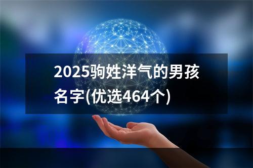 2025驹姓洋气的男孩名字(优选464个)