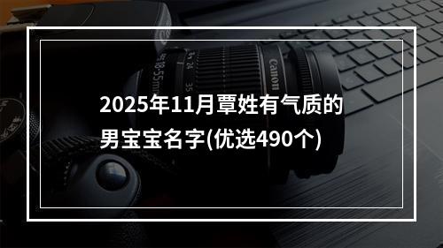 2025年11月覃姓有气质的男宝宝名字(优选490个)