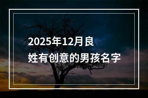 2025年12月良姓有创意的男孩名字