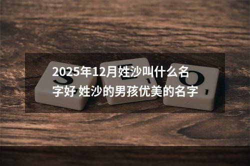 2025年12月姓沙叫什么名字好 姓沙的男孩优美的名字