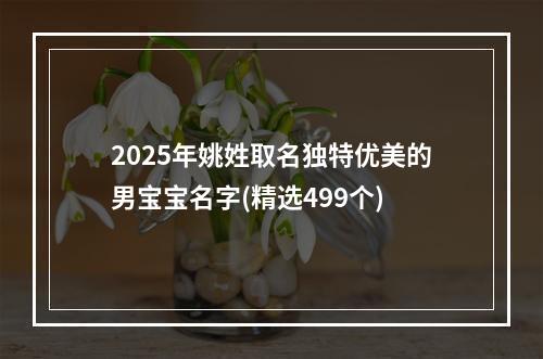 2025年姚姓取名独特优美的男宝宝名字(精选499个)