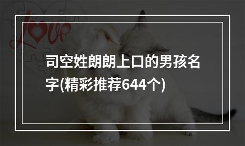 司空姓朗朗上口的男孩名字(精彩推荐644个)