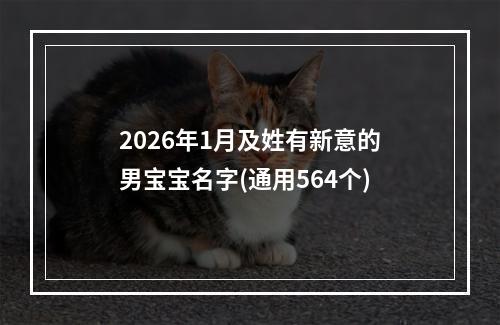 2026年1月及姓有新意的男宝宝名字(通用564个)